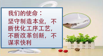 我們的使命：堅(jiān)守制造本業(yè)，不斷優(yōu)化工序工藝，不斷改革創(chuàng)新，不謀求快利